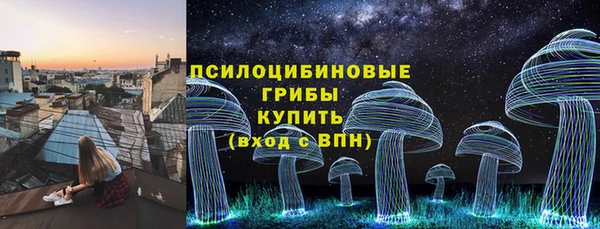 герыч Вяземский