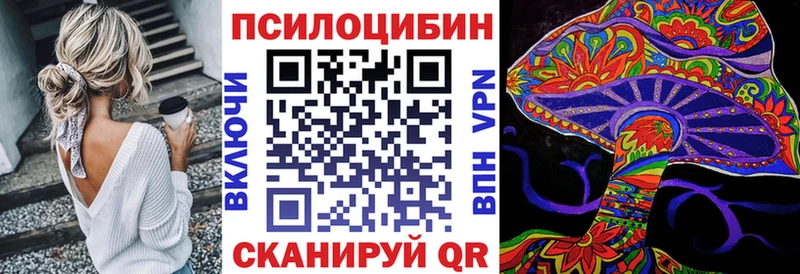 мега сайт Касимов Псилоцибиновые грибы Cubensis