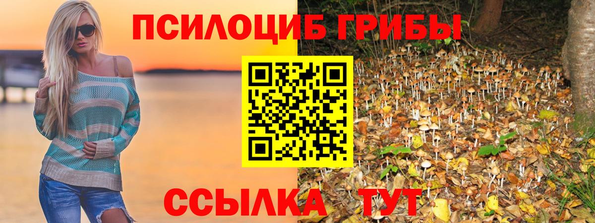 Псилоцибиновые грибы Cubensis  Вход с VPN  Касимов  Псилоцибиновые грибы GOLDEN TEACHER 