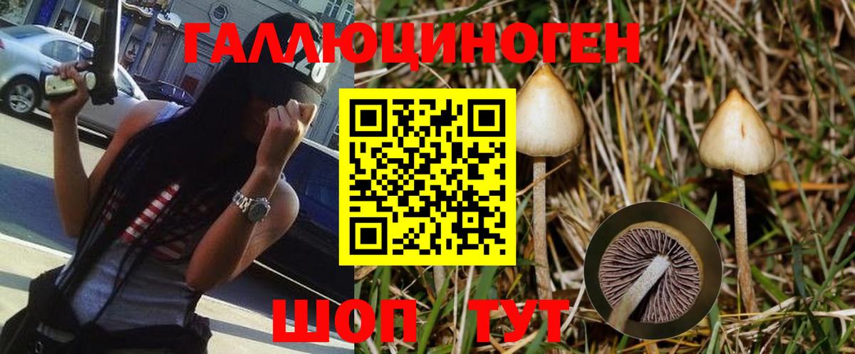 Псилоцибиновые грибы мицелий Касимов