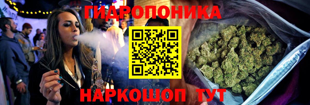 Бошки марихуана гибрид Касимов